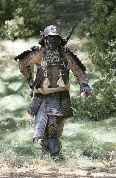 Fichier:2x03 Armure.jpg