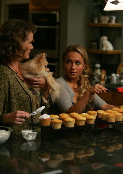 Fichier:Claire cakes.jpg